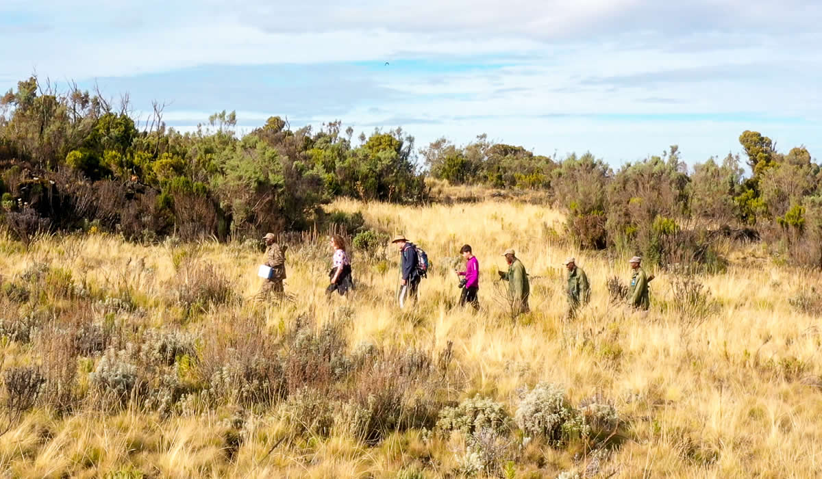 Walking Safaris in Uganda