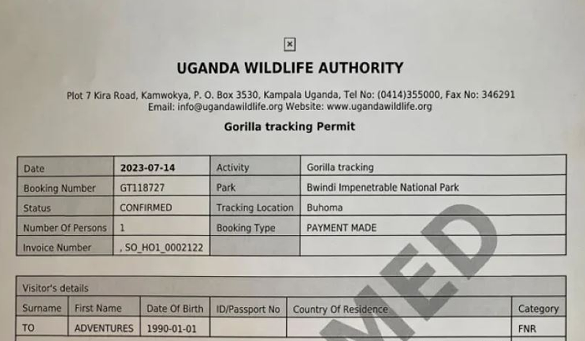 How to Book a Gorilla Permit in Uganda
